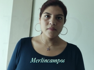 Merlincampos