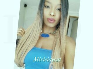 Mirleidycat