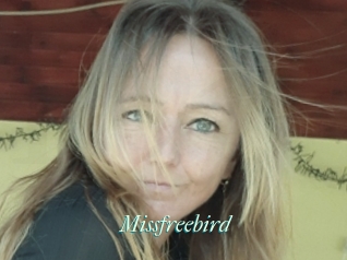 Missfreebird