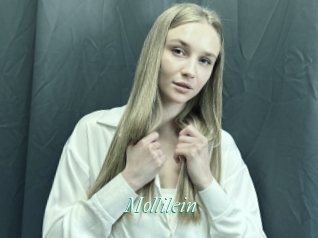 Mollilein