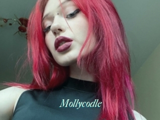 Mollycodle