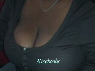 Niceboobs