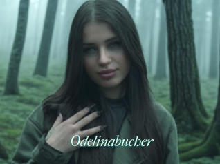 Odelinabucher