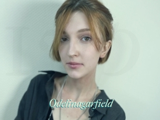 Odelinagarfield