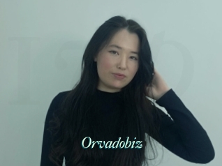 Orvadobiz