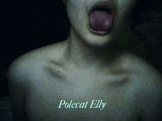 Polecat_Elly