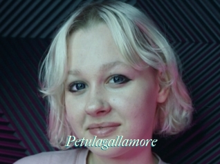 Petulagallamore