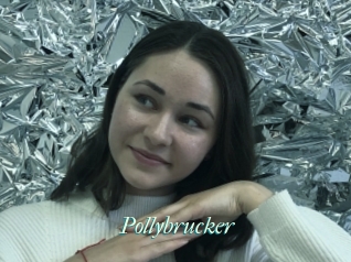 Pollybrucker