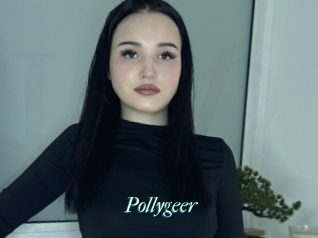 Pollygeer