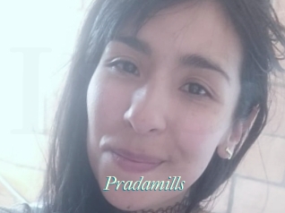 Pradamills