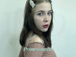 Primroseatcher