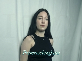 Primrosebingham