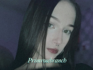 Primrosebranch