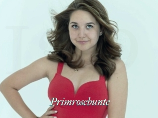 Primrosebunte
