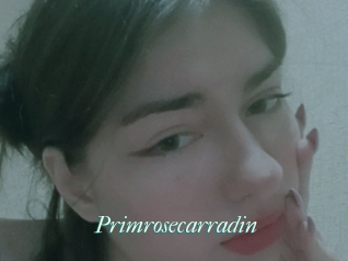 Primrosecarradin