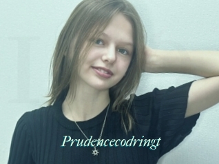 Prudencecodringt