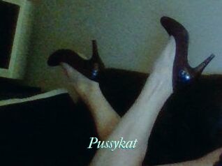 Pussykat
