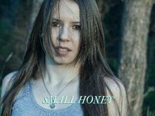 SMALL_HONEY