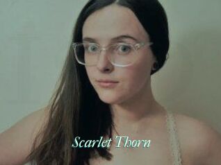 Scarlet_Thorn