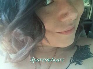 SparrowSoars