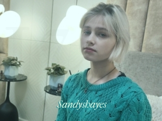 Sandyshayes