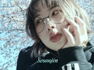 Seosoojin