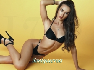 Soniquecross
