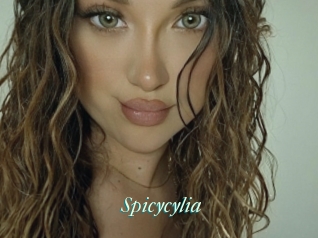 Spicycylia