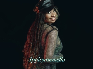 Sppicyammelia