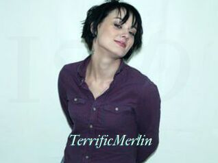 TerrificMerlin
