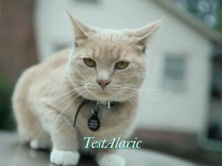TestAlaric