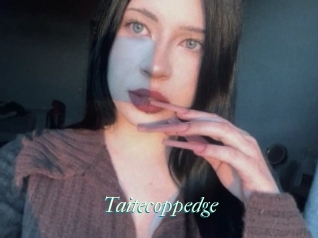 Taitecoppedge