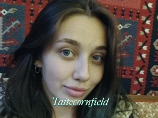 Taitecornfield