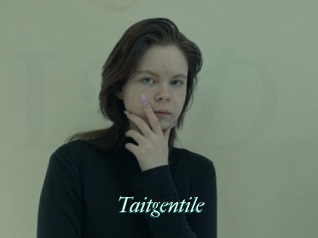 Taitgentile