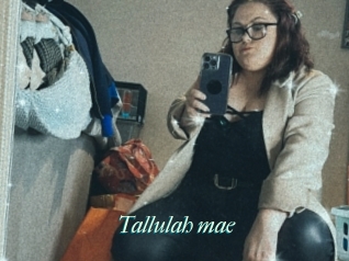 Tallulah_mae