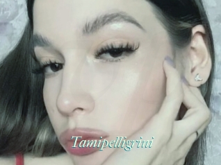 Tamipelligrini