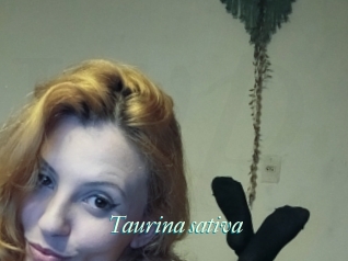 Taurina_sativa