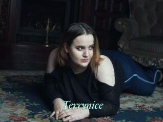 Terrynice