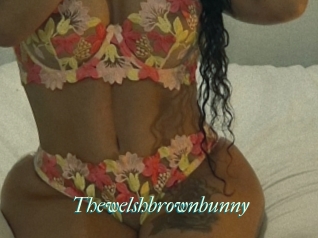 Thewelshbrownbunny