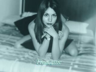 Tinacattie