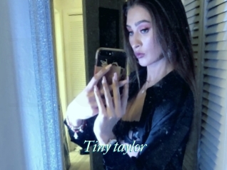 Tiny_taylor