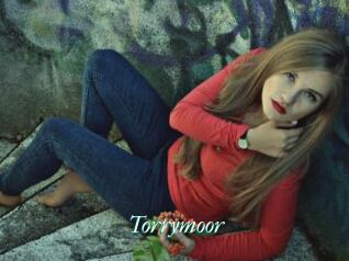 Torrymoor