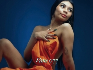 Vane_077