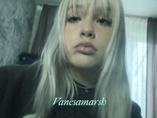 Vanesamarsh