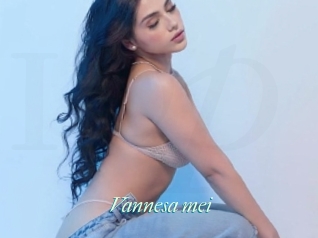 Vannesa_mei
