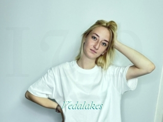 Vedalakes