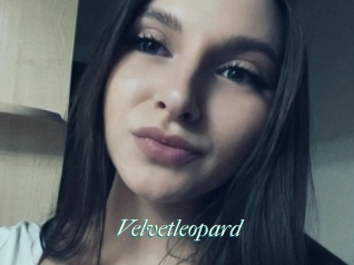 Velvetleopard