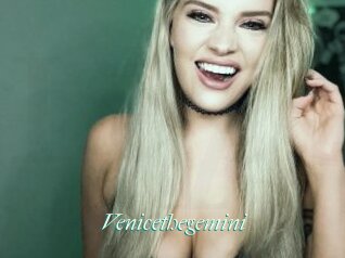 Venicethegemini