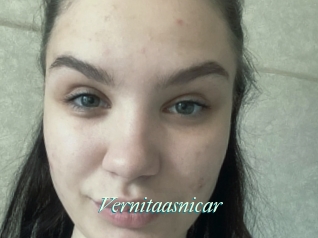 Vernitaasnicar