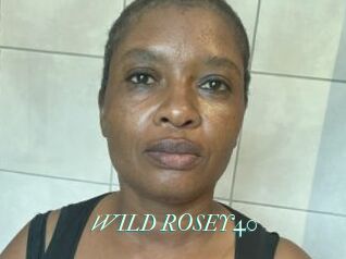 WILD_ROSEY40